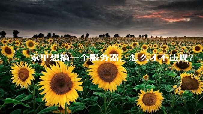 家里想搞一个服务器，怎么才不违规？