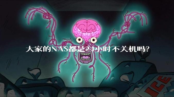 大家的NAS都是24小时不关机吗？